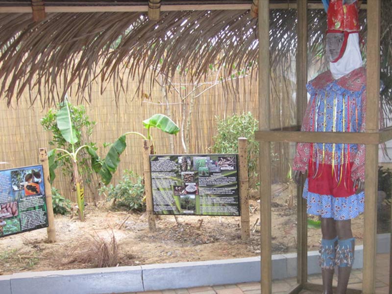 The Garinagu
